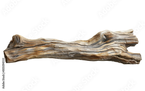 Driftwood Plank in High Definition, Standalone on White Background, Copy Space