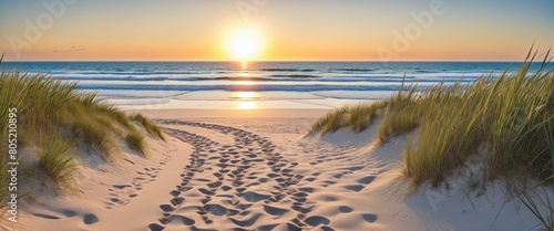 Path on the sand going to the ocean in the Beach at sunrise or sunset, beautiful nature landscape