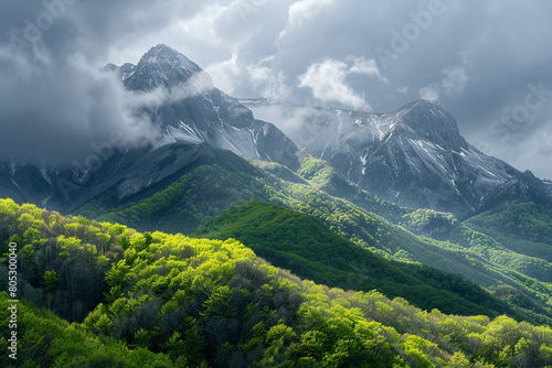 The striking image of a mountain range in early spring, with the lower slopes covered in fresh, green foliage and the peaks shrouded in clouds, 