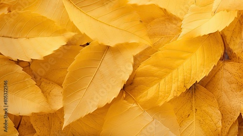 textured yellow fall background