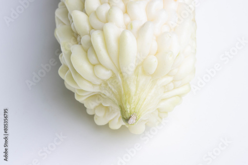 Closeup of a fresh white bitter melon isolated on a white background. Bitter melon (Momordica charantia) is a tropical and subtropical vine of the family Cucurbitaceae grown for its edible fruit.