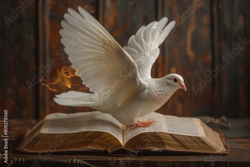 descent of the holy spirit in the bible