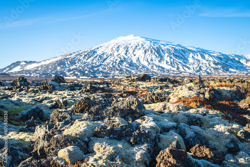 Moss-covered lava field at the base of Snæfellsjökull volcano on Iceland's Snæfellsnes Peninsula