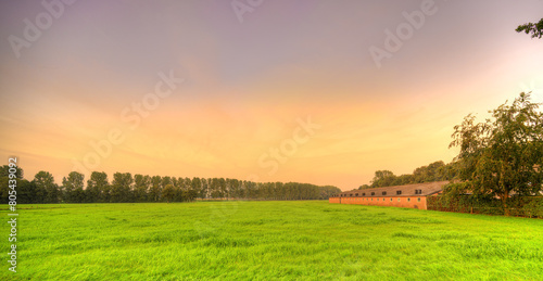 A sea of green grass surrounds a Dutch farm in a rural landscape at sunset.