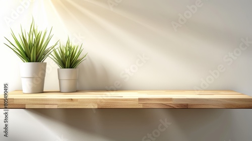  A wooden shelf holds a few potted plants, with a light casting down upon them and the adjoining wall