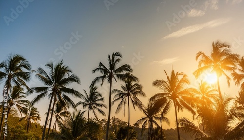 Tropical background with palm trees on a stunning sunset