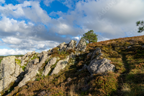 Au sommet des falaises, un parterre de rochers émerge de la végétation de la lande bretonne, offrant une vue panoramique saisissante sur la presqu'île de Crozon, un mélange de robustesse minérale et d
