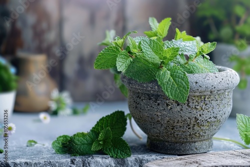 Close-up of mortar filled with fresh mint leaves and flowers. Ideal for herbal medicine or cooking concepts