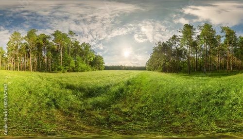 full seamless 360 degree hdri spherical panorama on a large spacious green field sunny weather in the forest glade in the forest vr content