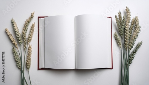 blank opened book mockup top view isolated on white background
