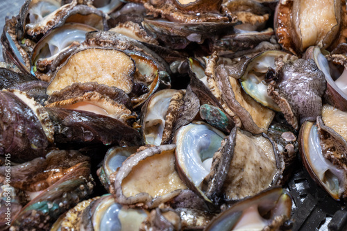 Close up of fresh abalone at the fish market - Qingdao Seafood Market,China