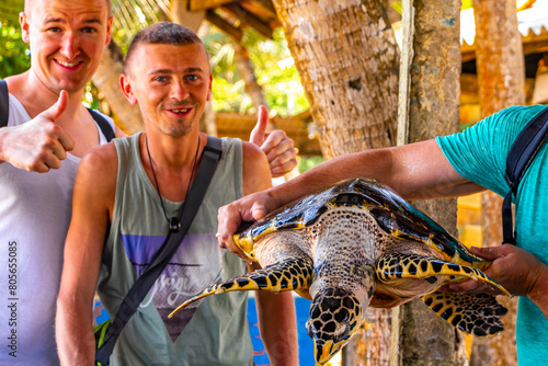 Man holds green sea turtle hawksbill turtle loggerhead sea turtle.