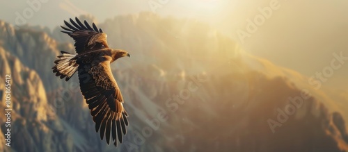 majestic eagle soaring above a mountain range at dawn warm sunlight illuminating its spread wings 