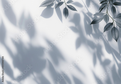 A leafy tree casts a shadow on a white background. The shadow is long and thin, stretching across the entire image. The contrast between the dark leafy tree