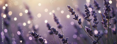Lavender Glitter Bokeh Bliss, Drift Away in a Serene Abstract Background Awash with Lavender Glitter Sparkles.