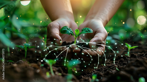 A person is holding a plant in their hands, surrounded by other plants. The concept of nurturing and caring for the plant, as well as the importance of taking care of nature