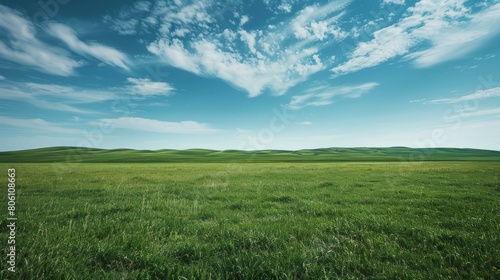 Vast green grassland under blue sky and white clouds