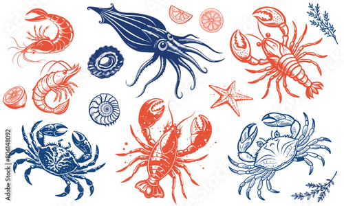 Seafood animals set with lobster, crab, squid and shrimps in sketch outline style on white background, vector illustration