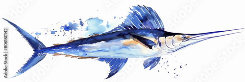 Vector watercolor swordfish illustration, Sailfish watercolor illustration, fishery, summer watercolor, seafood illustration