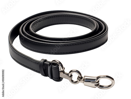 Dog leash isolated on transparent background