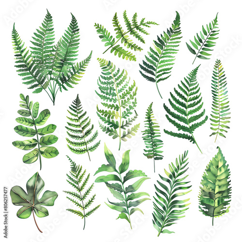 Set of watercolor hand drawn fern leaves isolated on black background. Green leaves. Botanical illustration.