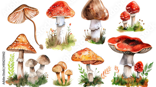 There are ten different types of mushrooms in the image. They are all rendered in 3D and look very realistic. The mushrooms are all different colors, shapes, and sizes.