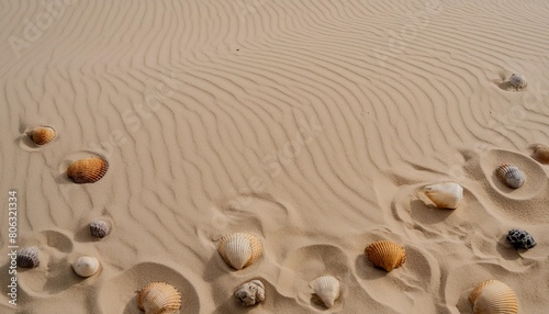 top view of a sandy beach texture of clean sand of a natural surface sand background imprints of mollusks in the sand