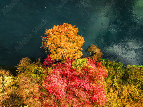 Autumn leaves above the Brda River. Nature in Poland, Europe.