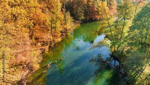 River Brda and forest in autumn at sunrise, Poland.