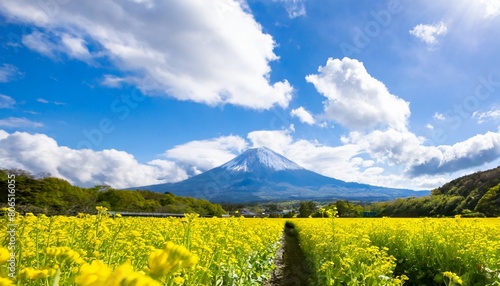 富士山と菜の花 美しい日本の春の風景