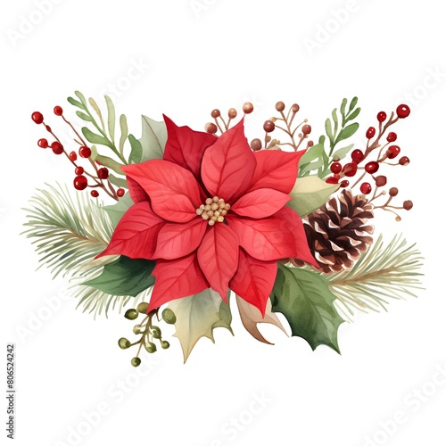 Watercolor Christmas bouquet with poinsettia, holly, fir branches, berries and leaves. Hand painted illustration isolated on white background