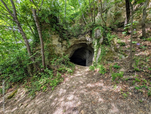 Cave entrance at Stari Grad in old historic city Krapina, Croatia, Hrvatsko zagorje, nature background, Neanderthal, Palaeolithic archaeological site