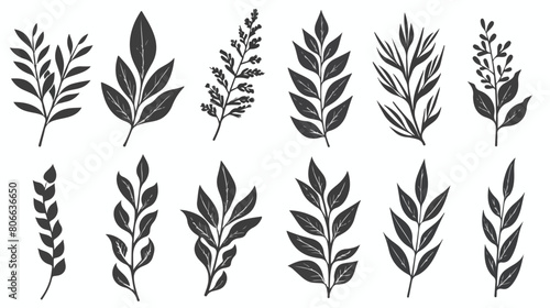 Set of monochrome laurel leafs Vector illustration. vector