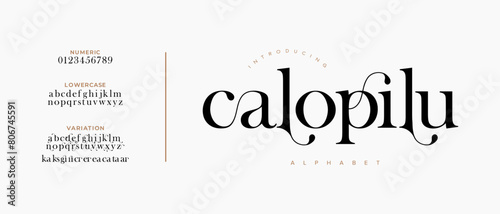 Calopilu elegant font alphabet uppercase lowercase and number. Classic lettering minimal fashion designs. Typography modern serif fonts regular decorative vintage concept. Vector illustration