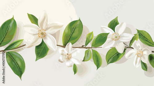 Cute jasmine flower decorative icon Vector illustration