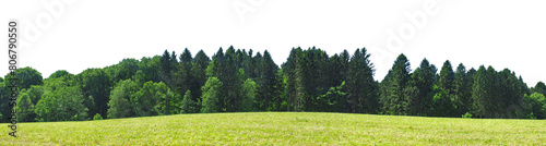 Forest edge with Meadow without Sky - Transparent PNG Background