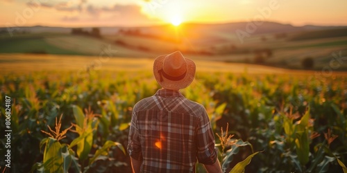A farmer is standing in a field of corn at sunset.