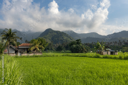 Ricefields and hills of touristic Amed village in rural part of tropical Bali island, Karangasem district