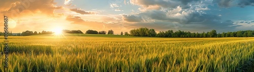 A panoramic shot of a large farm showing diverse crop fields including corn, soybeans, and barley, emphasizing scale and variety in agriculture