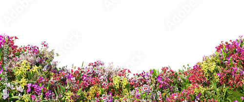 3D render garden decorated with orchids Multiple formats on a transparent background