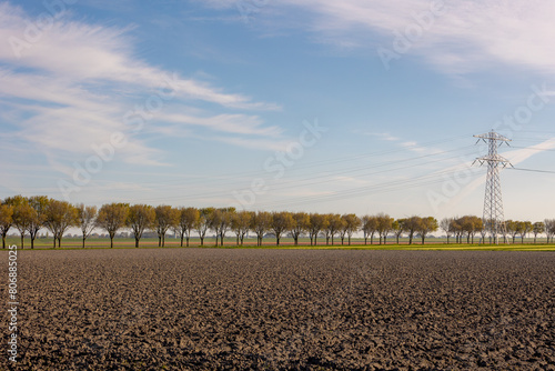Spring landscape, Typical Dutch polder land with warm sunlight in the morning, Plowed the soil on the filed for agriculture and trees with high voltage pole, Countryside of Noord Holland, Netherlands.