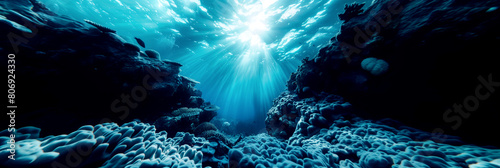 Sunlight filtering through ocean water in a coral reef canyon, highlighting rich underwater biodiversity.