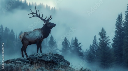 A deer stands on a rock in a forest with fog in the background