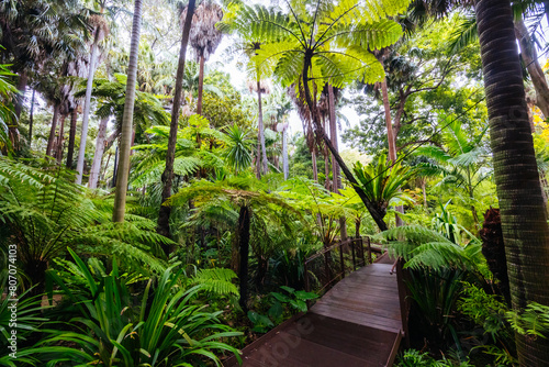 Royal Botanic Gardens in Melbourne Australia