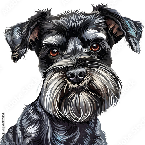 Clipart illustration of a miniature schnauzer dog breed on a white background. Suitable for crafting and digital design projects.[A-0005]