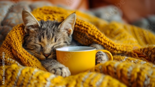  A cat naps atop a yellow blanket, beside a yellow coffee cup, both resting on the blanket