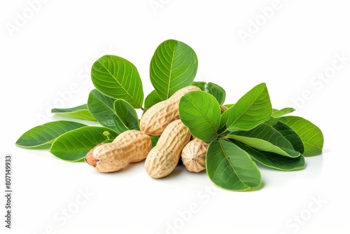 Peanuts and leaves isolated on white