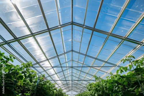 The transparent polycarbonate roof of an agricultural building is visible from below