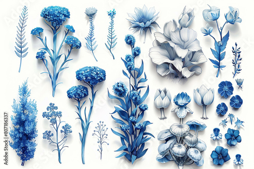 A collection of blue and white flowers and plants on a white background.
