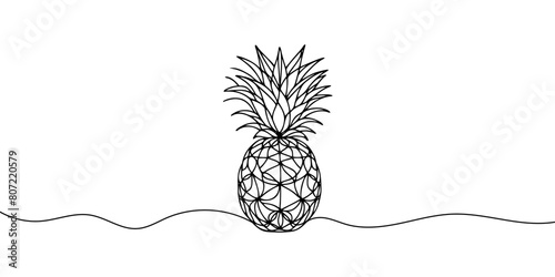 one continuous drawn line of pineapple drawn from the hand a picture of the silhouette. Line art. tropical fruit pineapple.